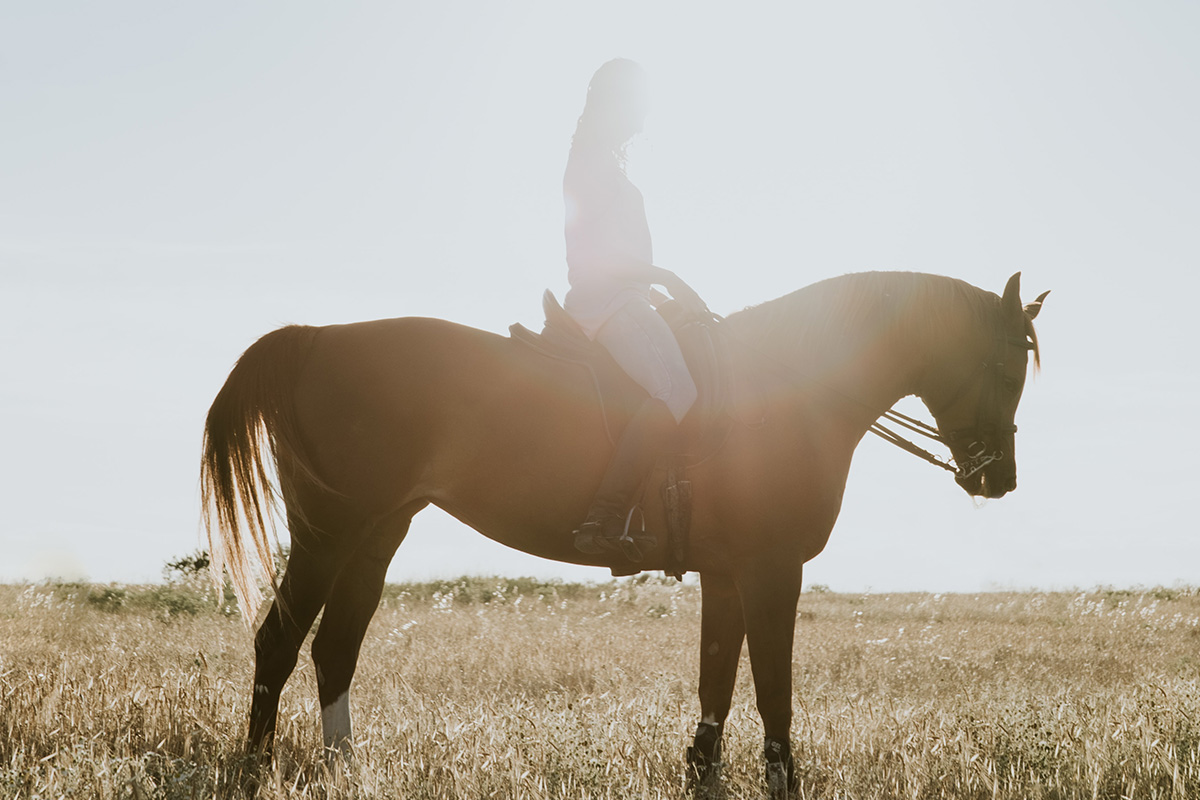 Horse Riding